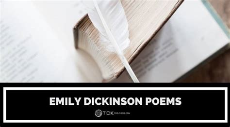 How Emily Dickinson Reflected Romanticism in Her Poetry: A Detailed Analysis